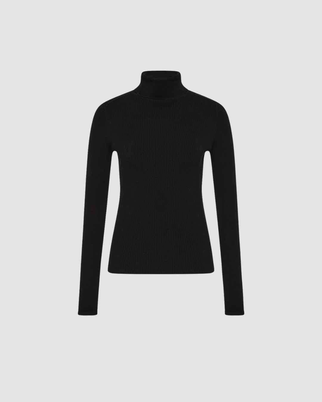 Ribbed Knit Turtleneck