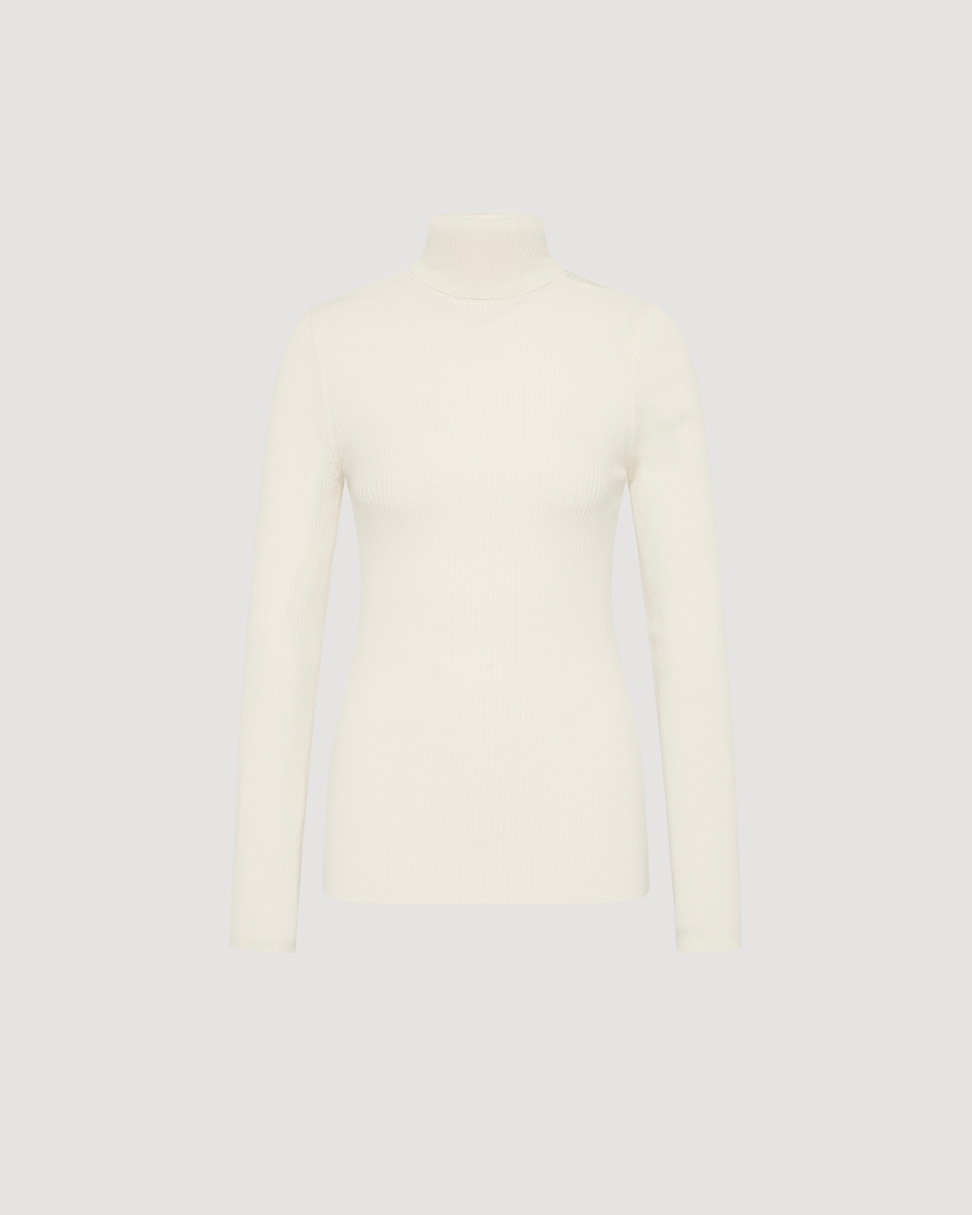 Ribbed Knit Turtleneck